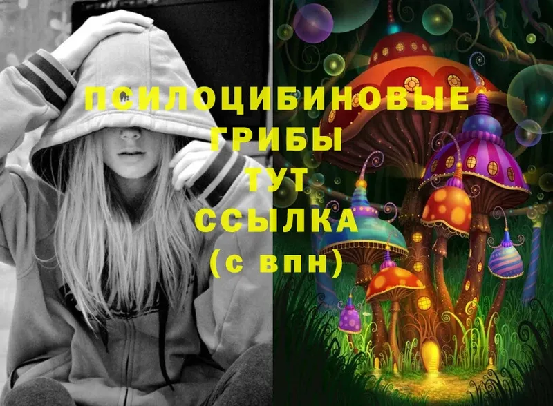 Галлюциногенные грибы Psilocybe  Новоаннинский 